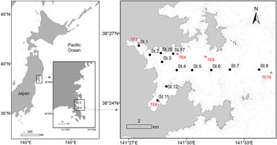 Spatio-Temporal Dynamics of Benthic Macrofaunal Communities in Relation to the Recovery of Coastal Aquaculture Operations Following the 2011 Great East Japan Earthquake and Tsunami